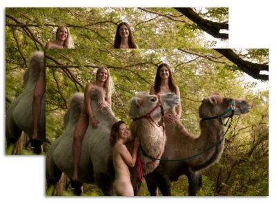 2x Girls-Kalender (Querformat, Farbe)