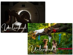 1x Damen-Kalender & 1x Mixed-Kalender