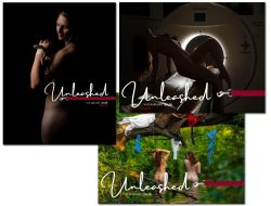 3er Pack: 1x Damen-, 1x Mixed- und 1x Ästhetik-Kalender